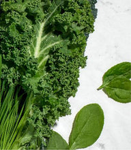 Load image into Gallery viewer, Collagen Beauty Greens - Vanilla Coconut